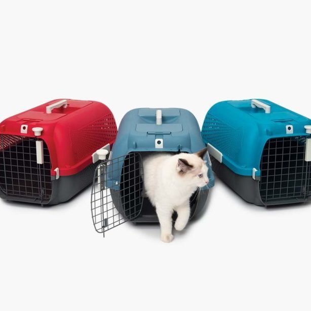 Cage de transport pour chat Cabrio, bleu gris - Catit