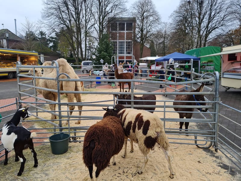 Tierischer Wochenmarkt