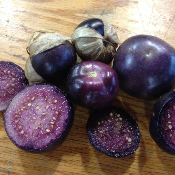 Purple Tomatillos