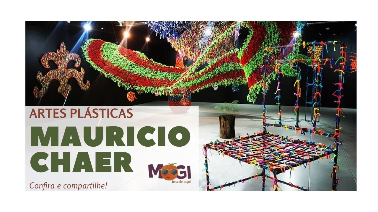 Artista plástico, Maurício Chaer, fala sobre suas inspirações