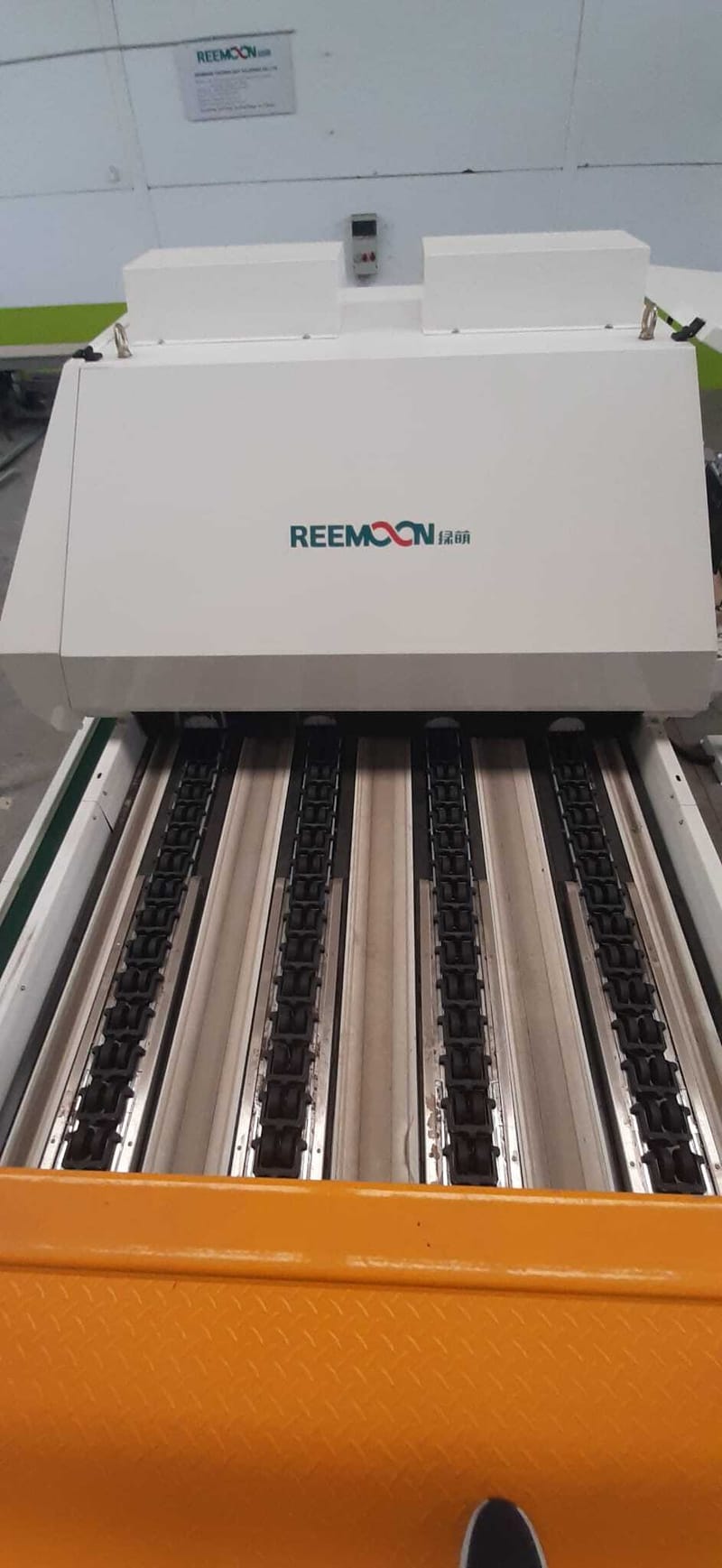 Reemoon citrus four Lines electronic grader