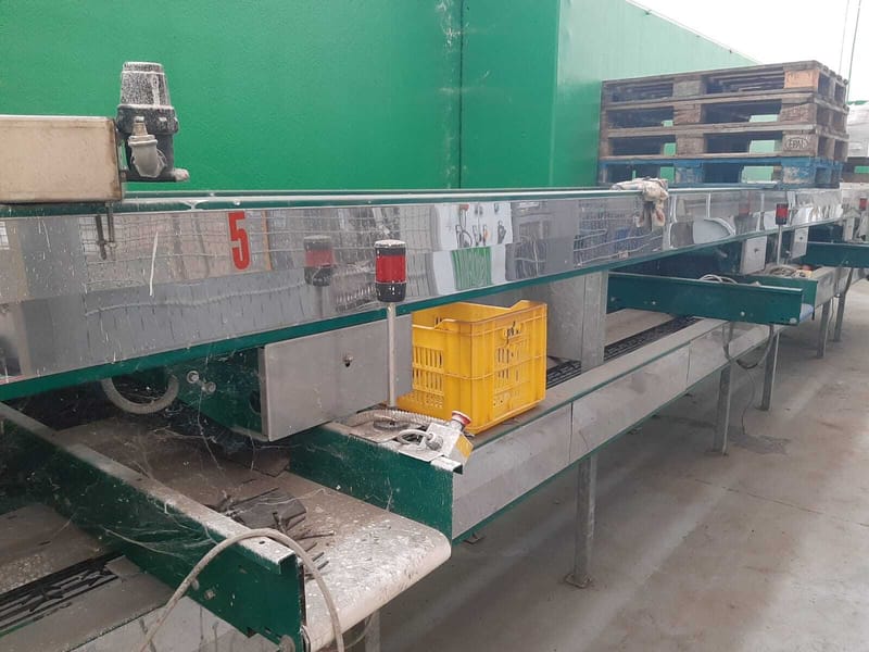 Maf roda Pomone 2 lines peach sorting line