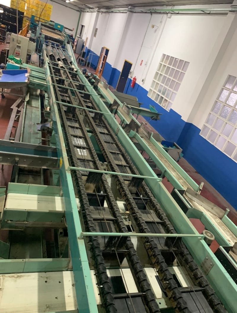 Sammo 4 Lines used electronic sorting line