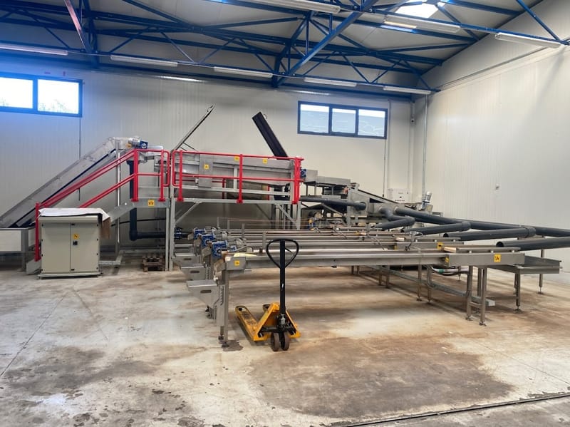 Mechanical cherry grading line
