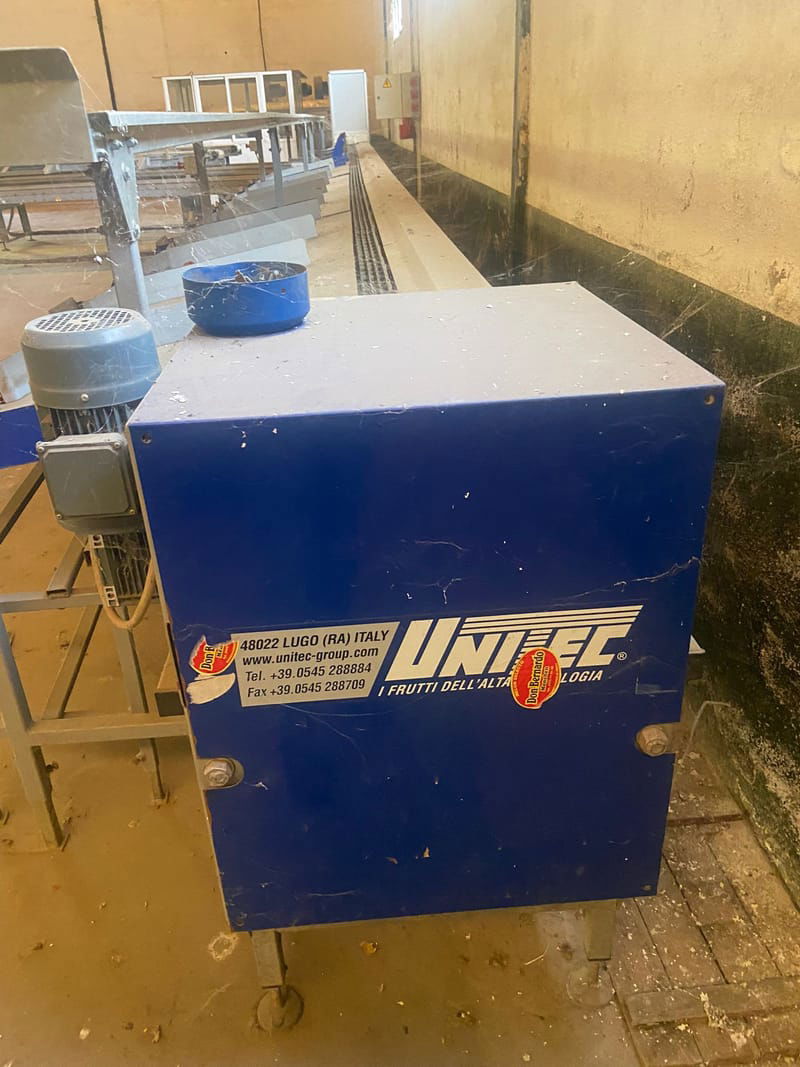 Unitec One line peach kiwi sorting line