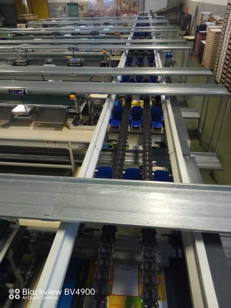 Compac Two lines sorting line kiwi