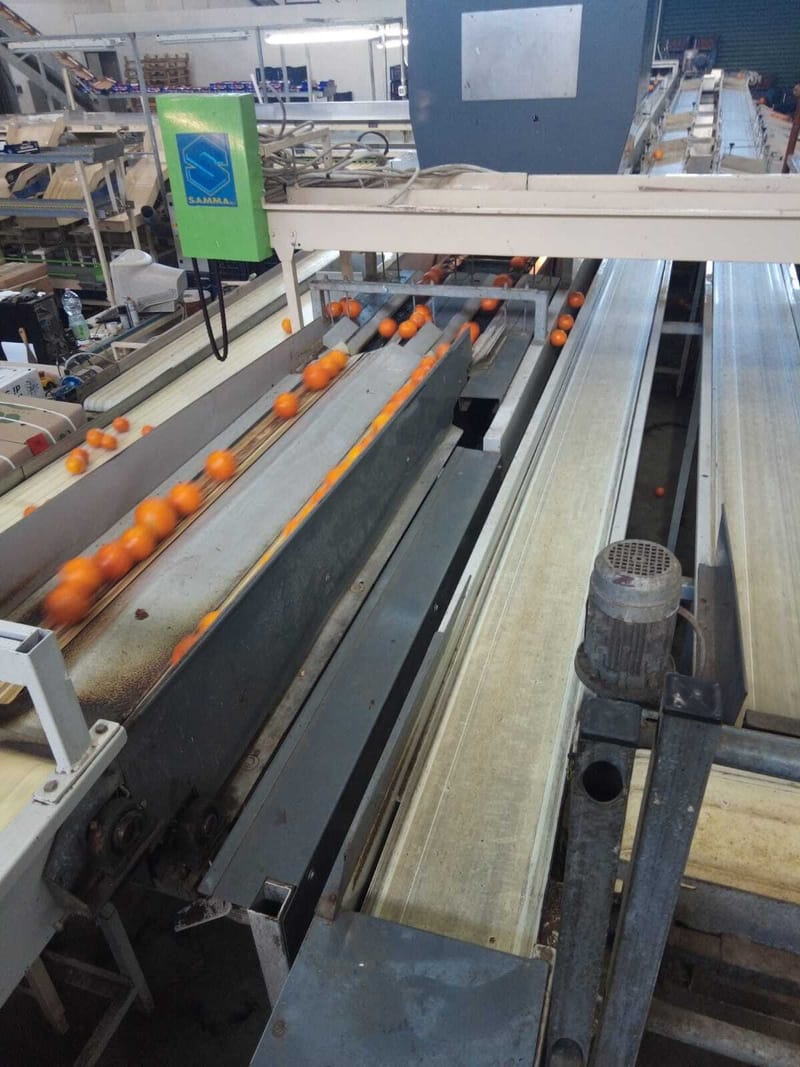 Samma 2 lines electronic sizer