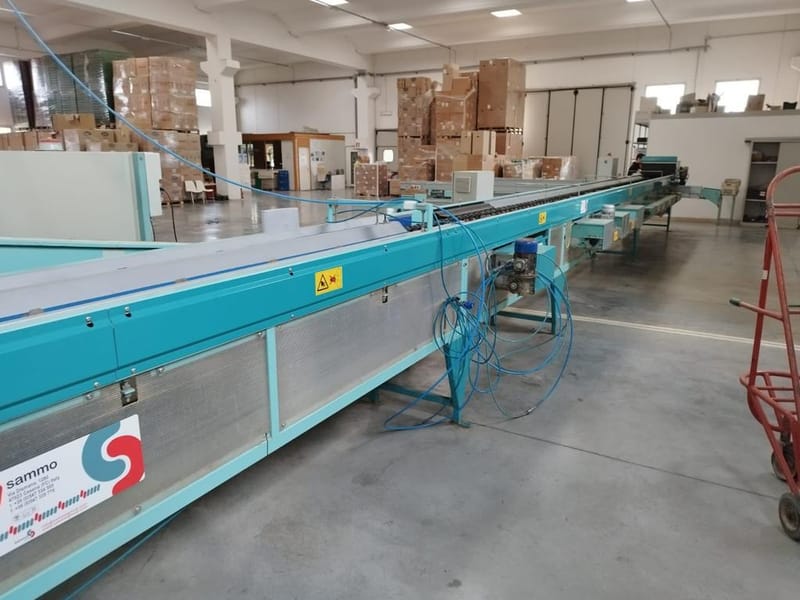 Sammo  2 lines peach sorting line