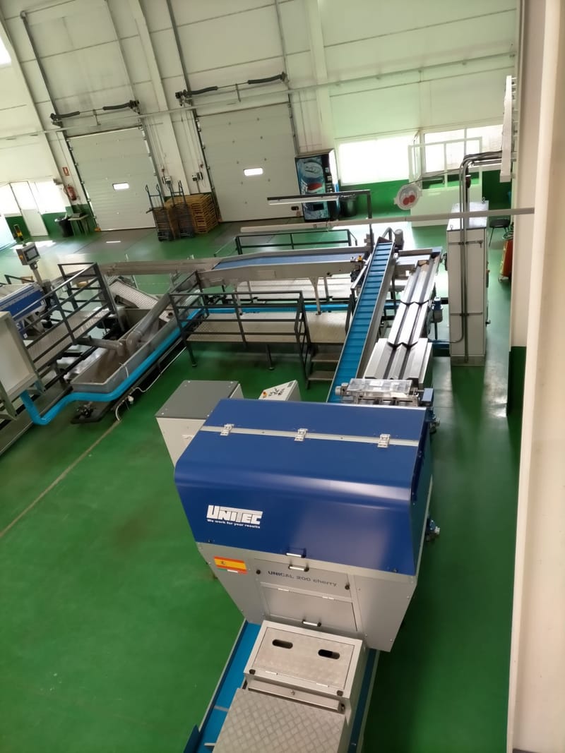 Unitec 2 lines Cherry grading line