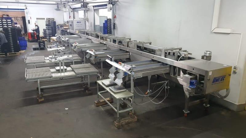 Unitec 2 lines Cherry grading line