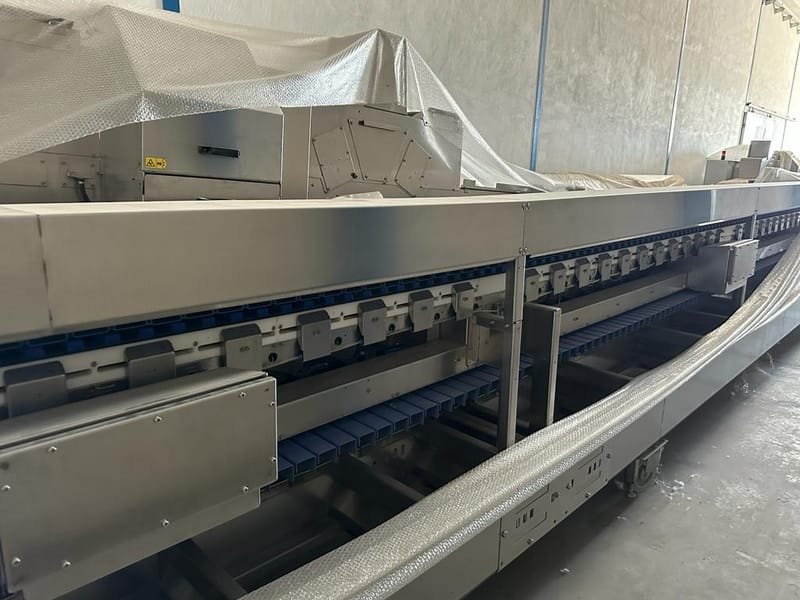 Neubauer automation asparagous sorting line