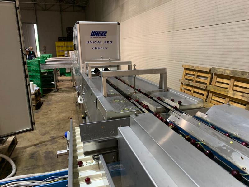 Unitec 2 lines cherry grading line