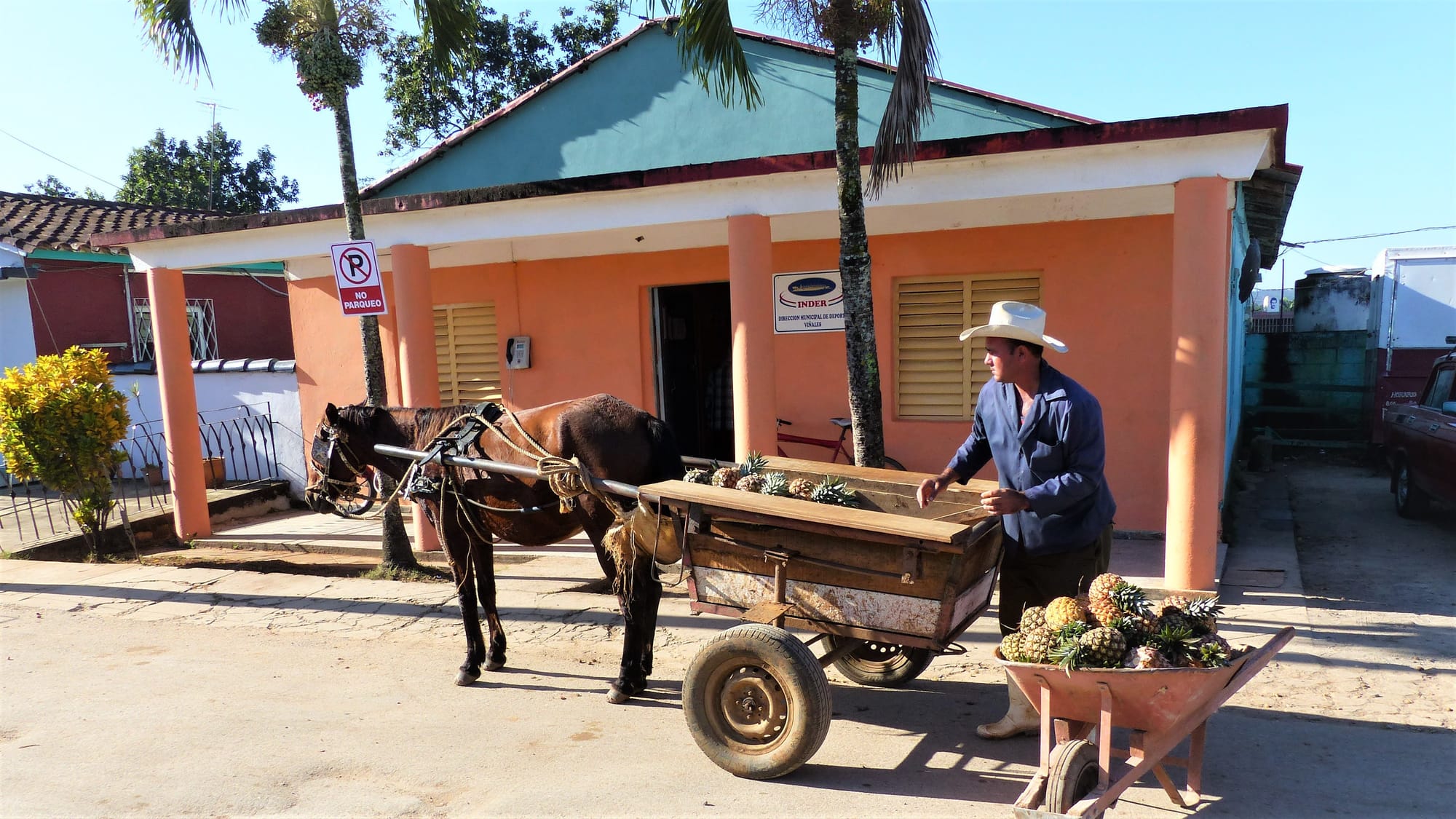 Vinales Pferdetransport