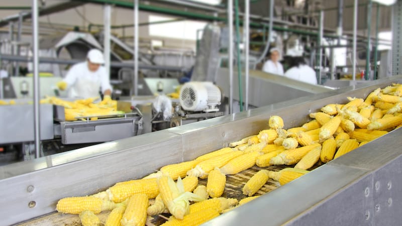 Food Processing Machinery