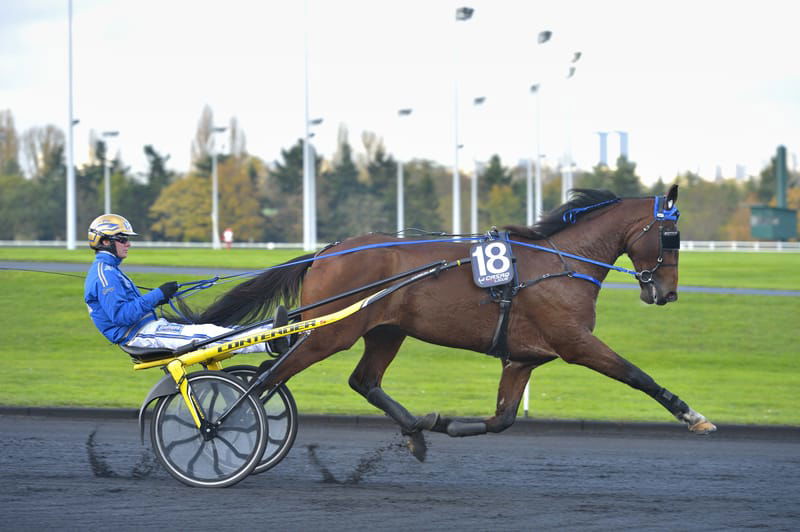 TIMOKO