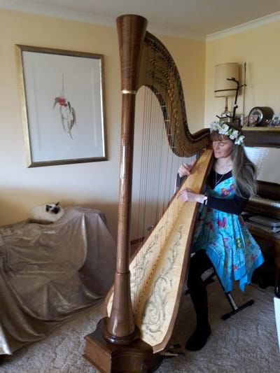 Tasmanian Harp and Violin Duo