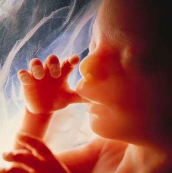 Fetal Growth & Development