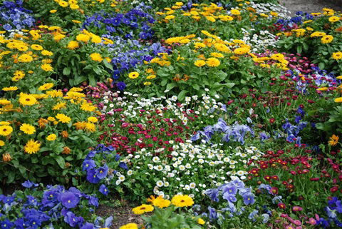 L’ART DES JARDINS DU MYTHE DE L’OASIS A LA SYMBOLIQUE DE LA PRAIRIE FLEURIE