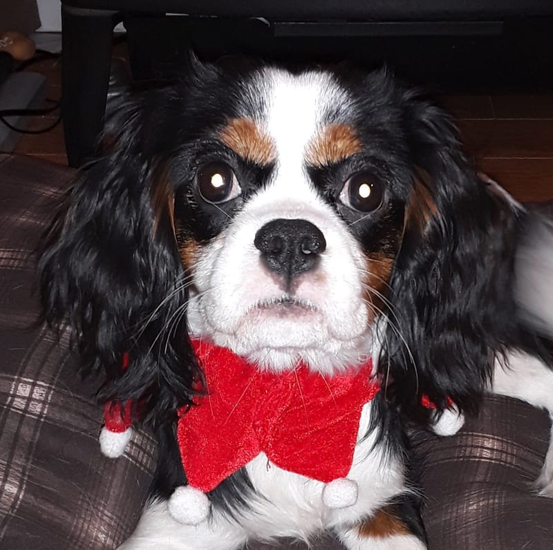 ROSIE