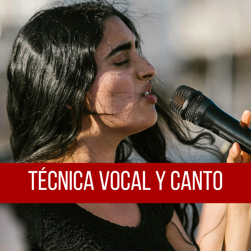 Técnica vocal y canto