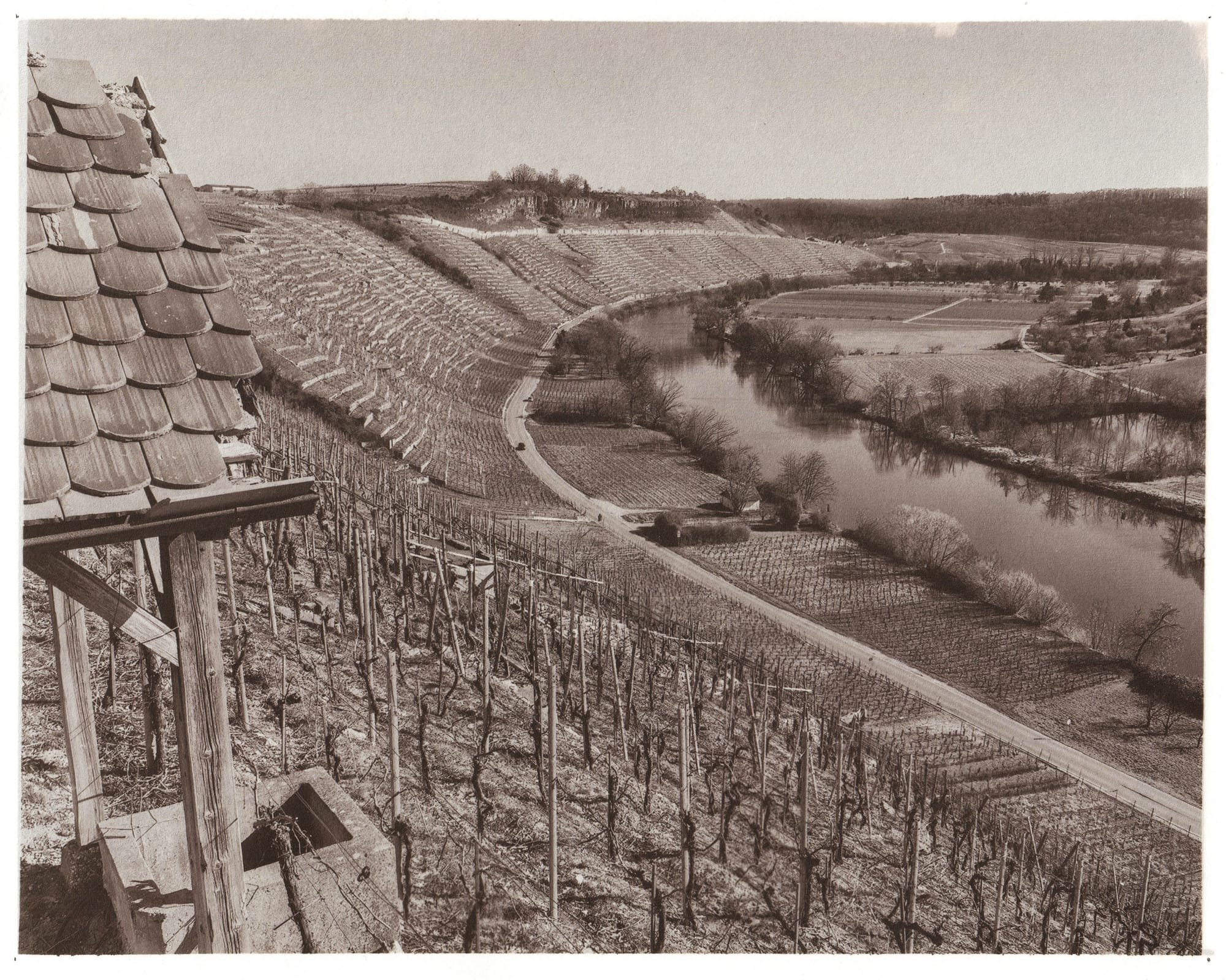 Felsengarten Vineyards Upstream Along the Neckar River | Besigheim