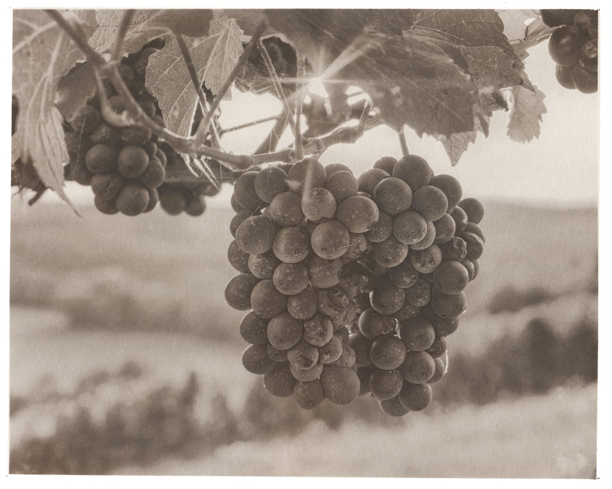 The Fruits of Their Labor | Kirchberg an der Murr