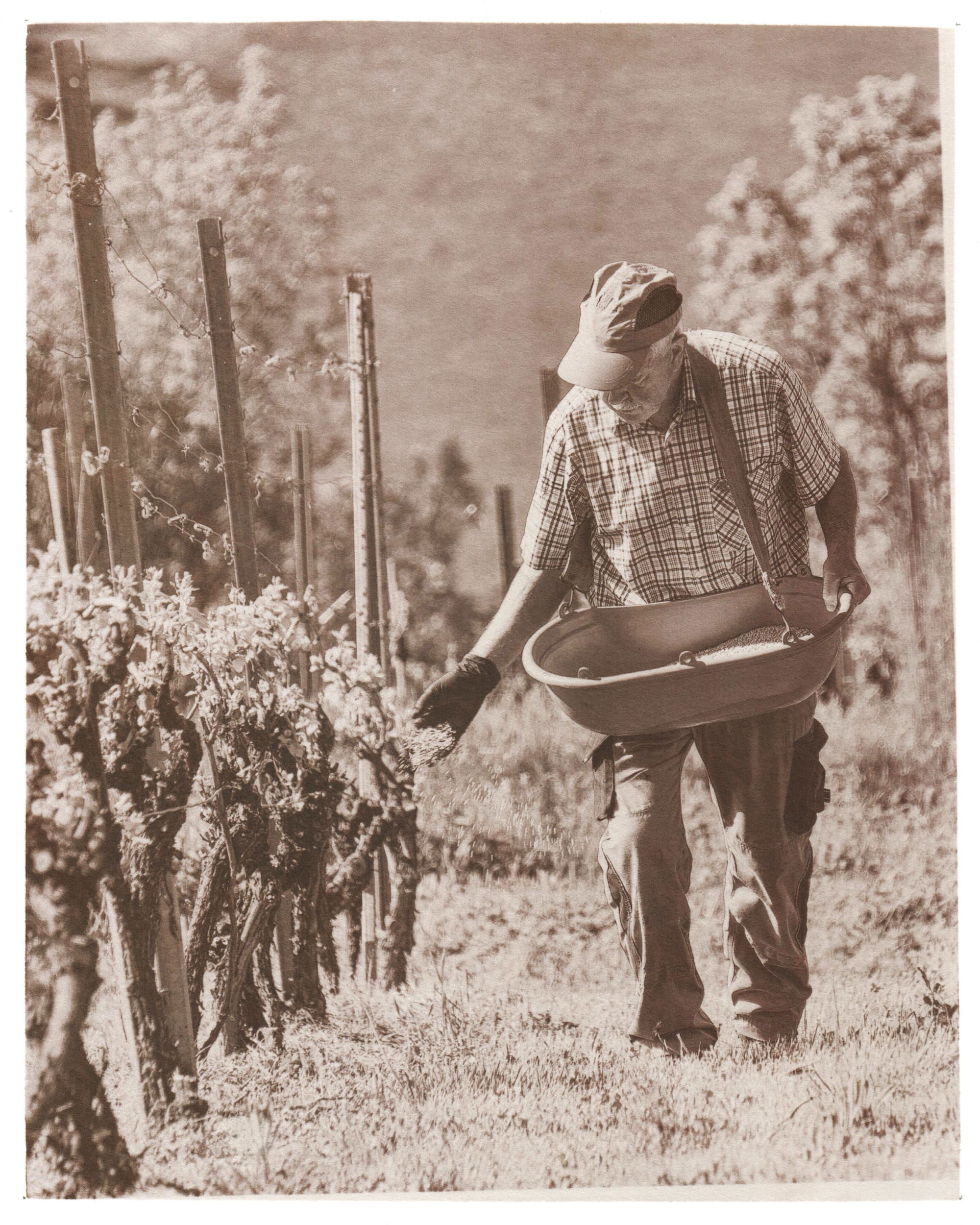 Fertilizing Up and Down the Rows | Rielingshausen