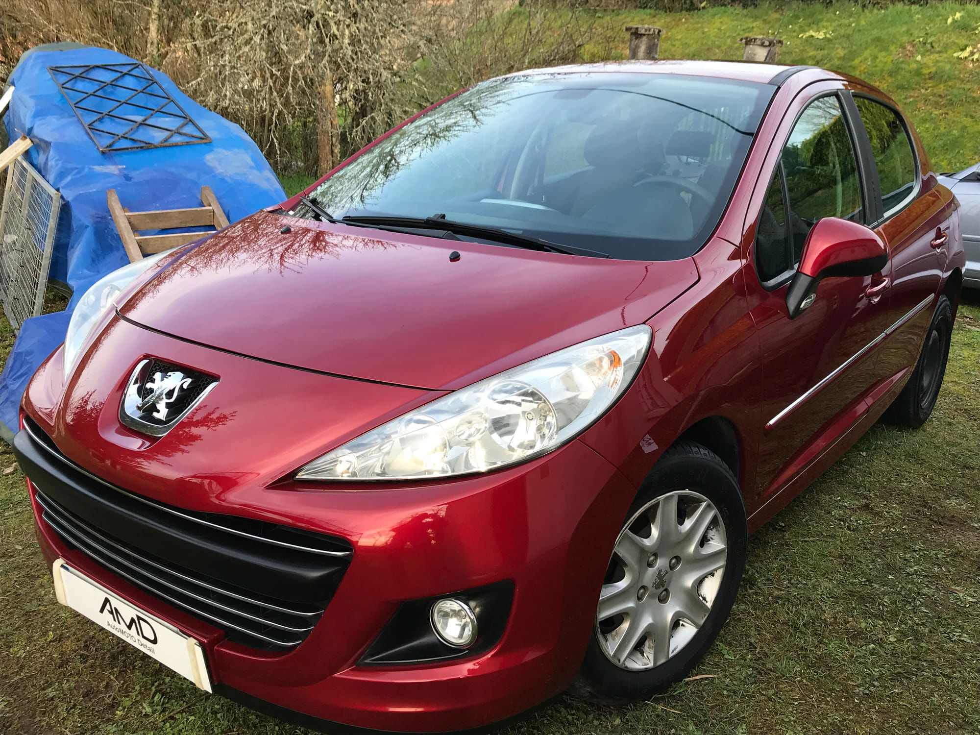 Peugeot 207