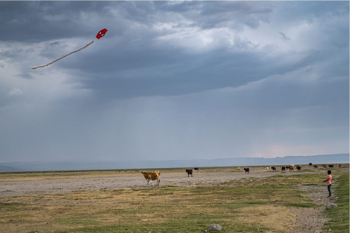 "KITE ON BREAK 2" © 2021