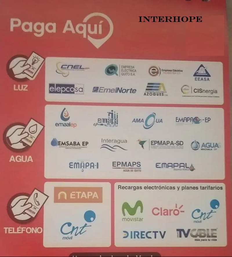 Pago De Servicios Basicos Pagos Online Hopes 6588