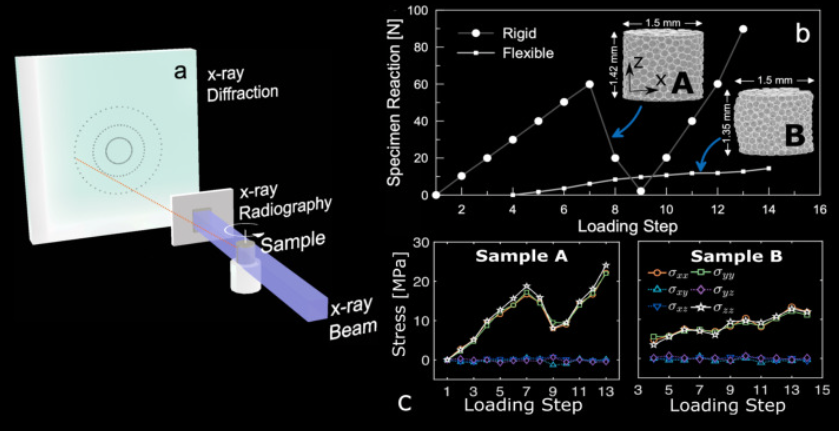 Quantifying the hierarchy of structural and mechanical length scales in granular systems