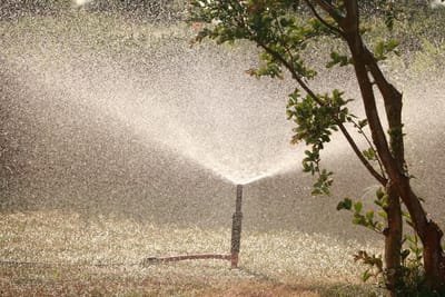 Guidelines for Choosing an Irrigation Services image