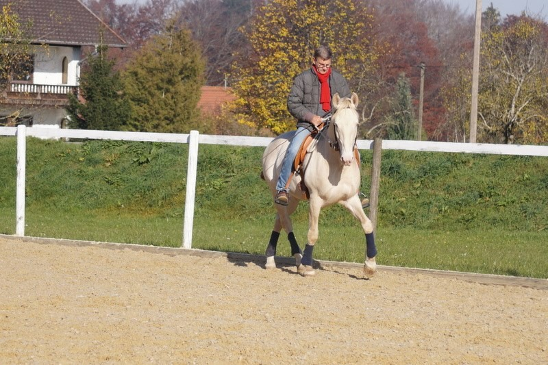 Marc de Broissia - klassische Reitkunst zurück zu den Wurzeln