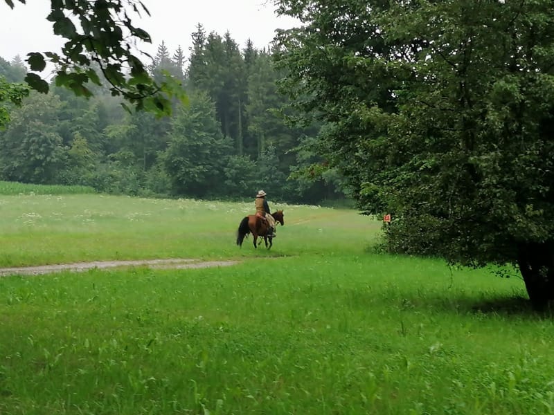 Reiturlaub mit  Deinem Pferd