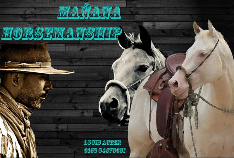 Verladetraining mit Louis Auber  - Manana Horsemanship