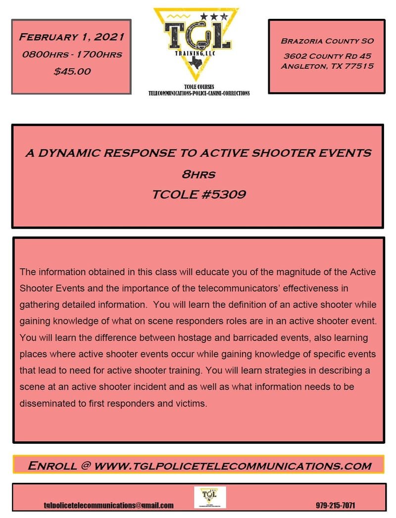 0201 A Dynamic Response to Active Shooter Events TCOLE 5309 (Brazoria Co)