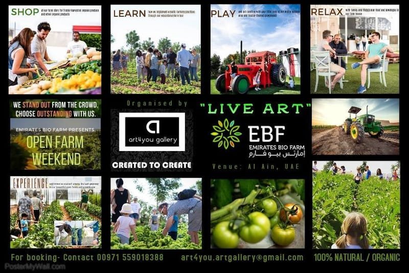 Live Art & Open Farm Weekend - 29 Feb 2019