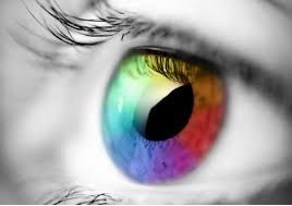 Vision