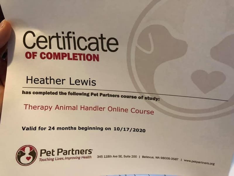 Therapy Animal Handler