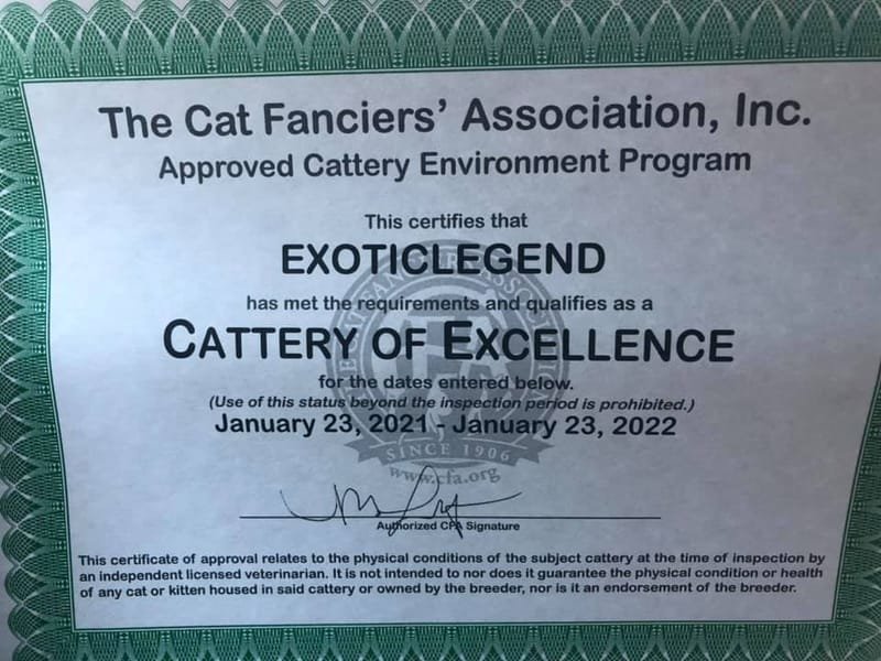 2021 - 2022 Cattery of Excellence