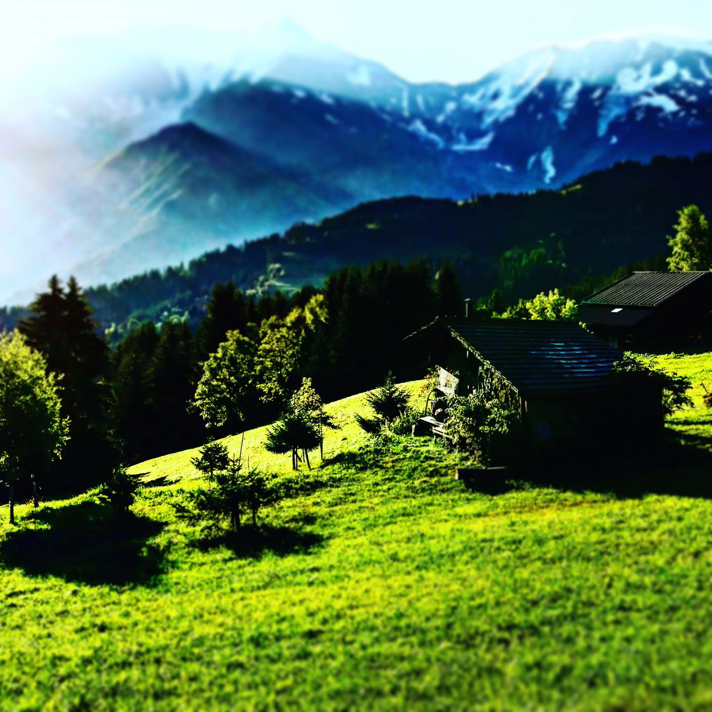 Ecrin naturel #27 Soleil vert / Haute Savoie