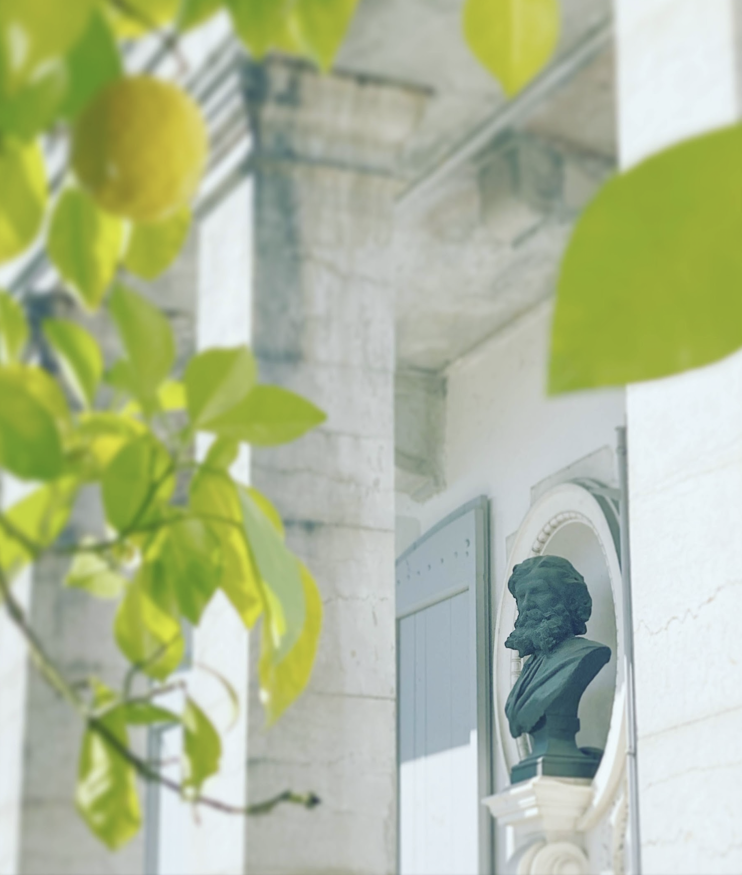 Détail d'ambiance. Parc du musée, Jardin Remarquable
