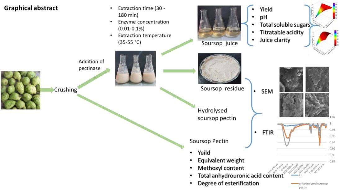 Optimization of pectinaseassisted extraction of Annona muricata L