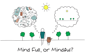 Evidence Based Mindfulness Programme