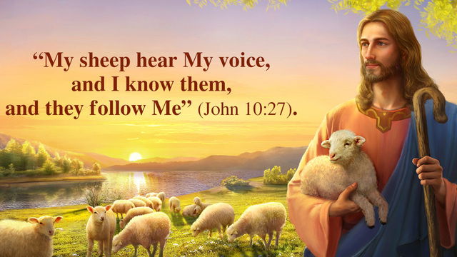 My Sheep Hear My Voice, I Know them and They Follow Me - Be Happy Live ...