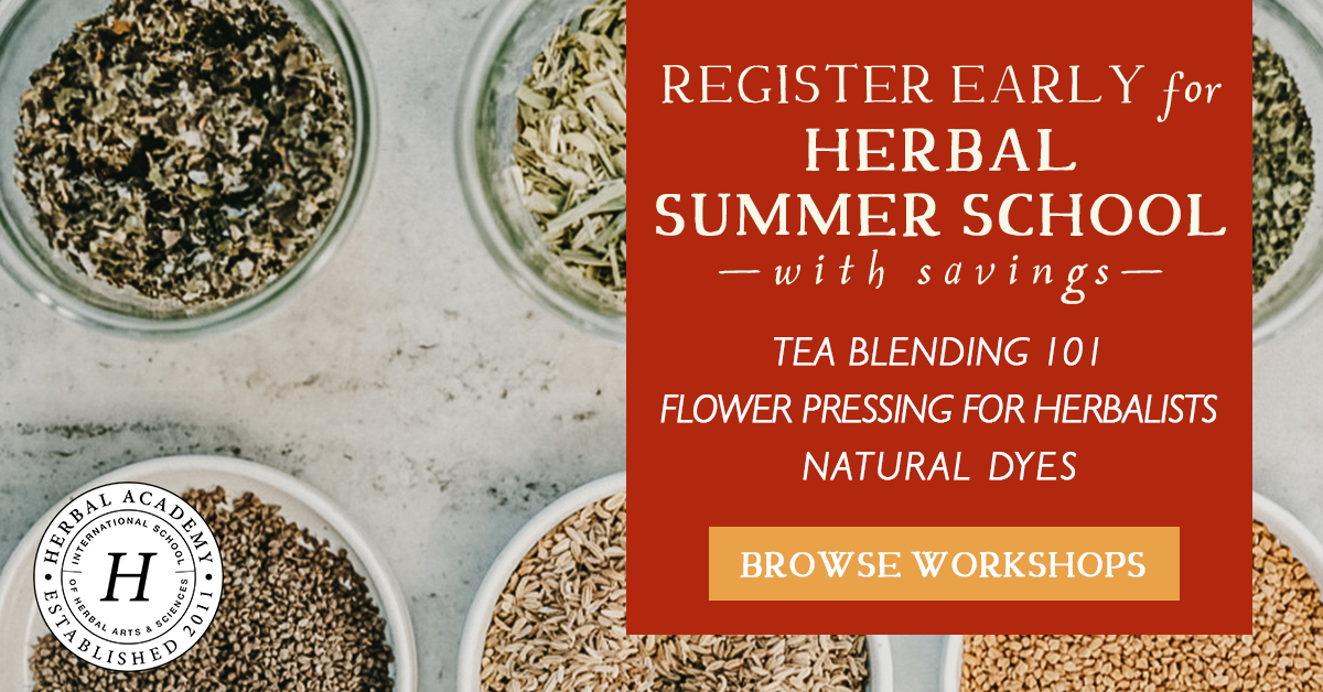 Herbal Summer Workshops! Flower Pressing, Tea Blending, and Natural Dyeing