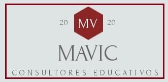 www.mavicconsultores.com