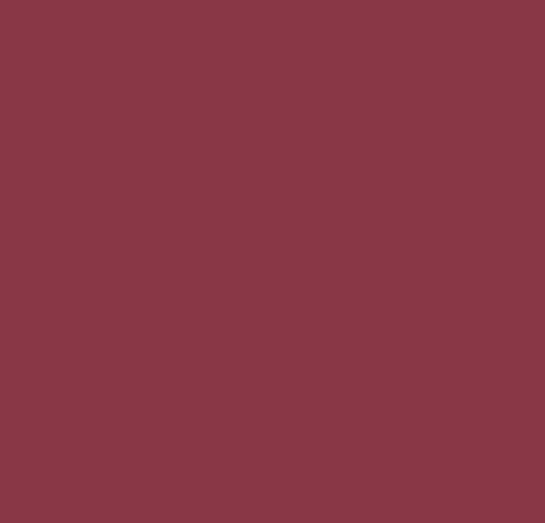 MATTE BORDEAUX #824