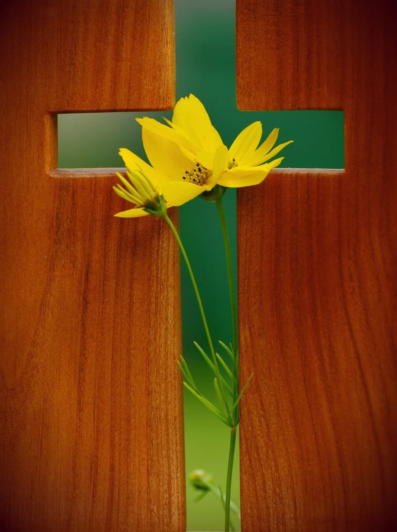 Holy Week 2024 at St Patrick's Parish