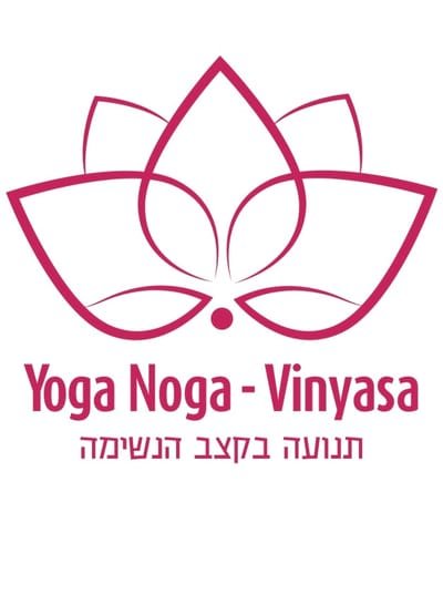 Yoga Noga Vinyasa